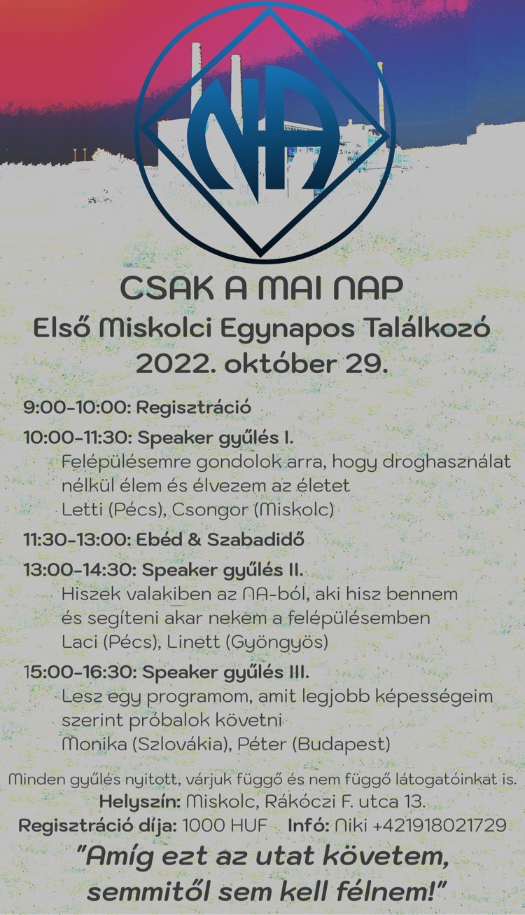 Die ganz junge NA Gemeinschaft von Miskolc, Ungarn feiert ihre erste lokale Convention. 29. Oktober 2022
